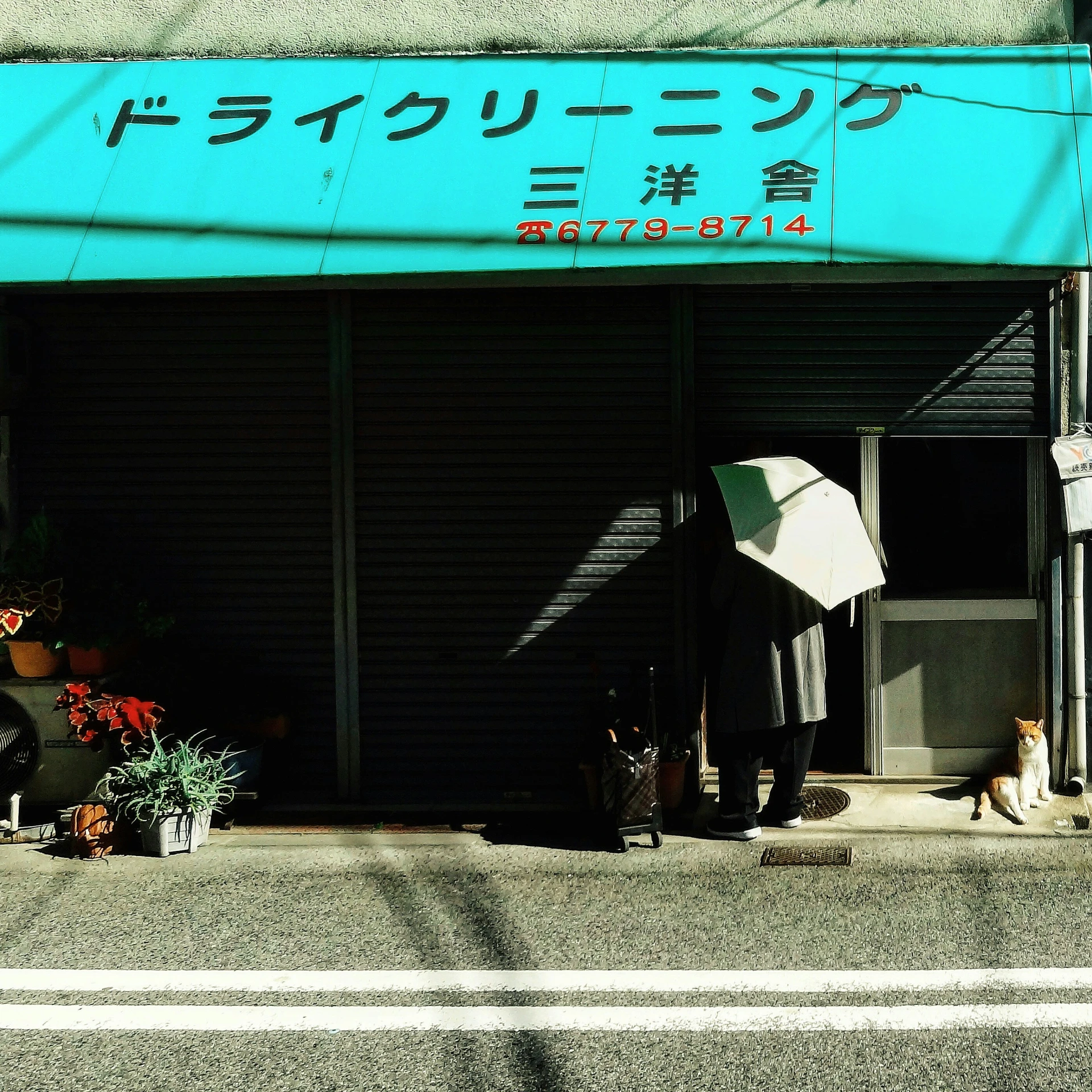 person with umbrella on the street standing at side of building