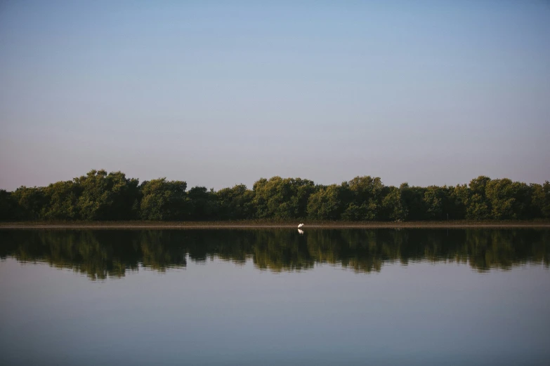 this image shows the calm waters and trees