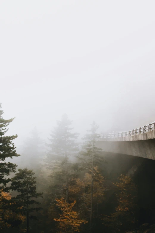 a bridge with several people walking across it