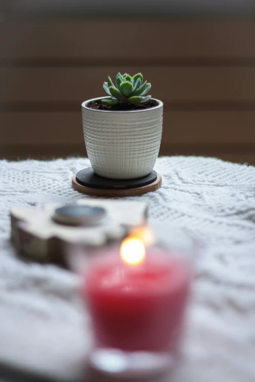 a succulent plant on top of a table next to a small candle