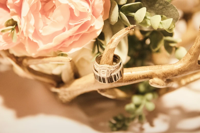 a wedding ring with white stripes sits next to pink roses