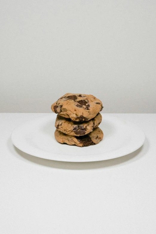 chocolate chip cookies on a white plate