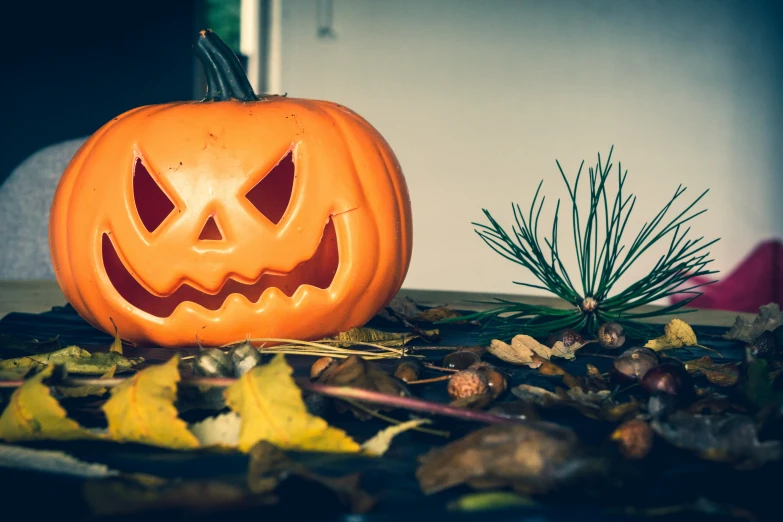 an orange pumpkin carved to look like jack o lantern on top of leaves and twigs