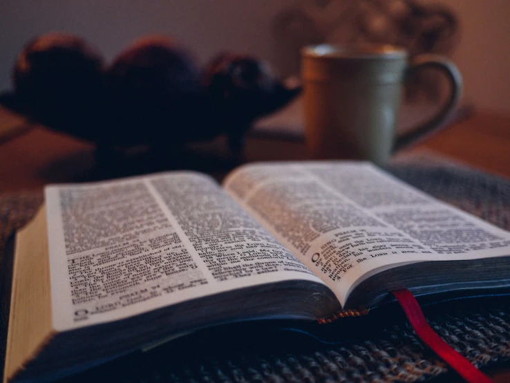 an open book with a coffee cup and small stuffed animal in the background