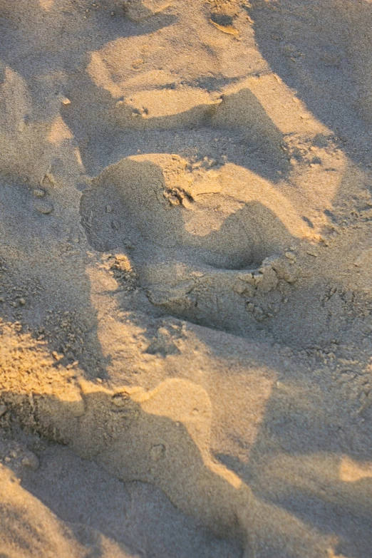 the sand and footprints in the sand are close together