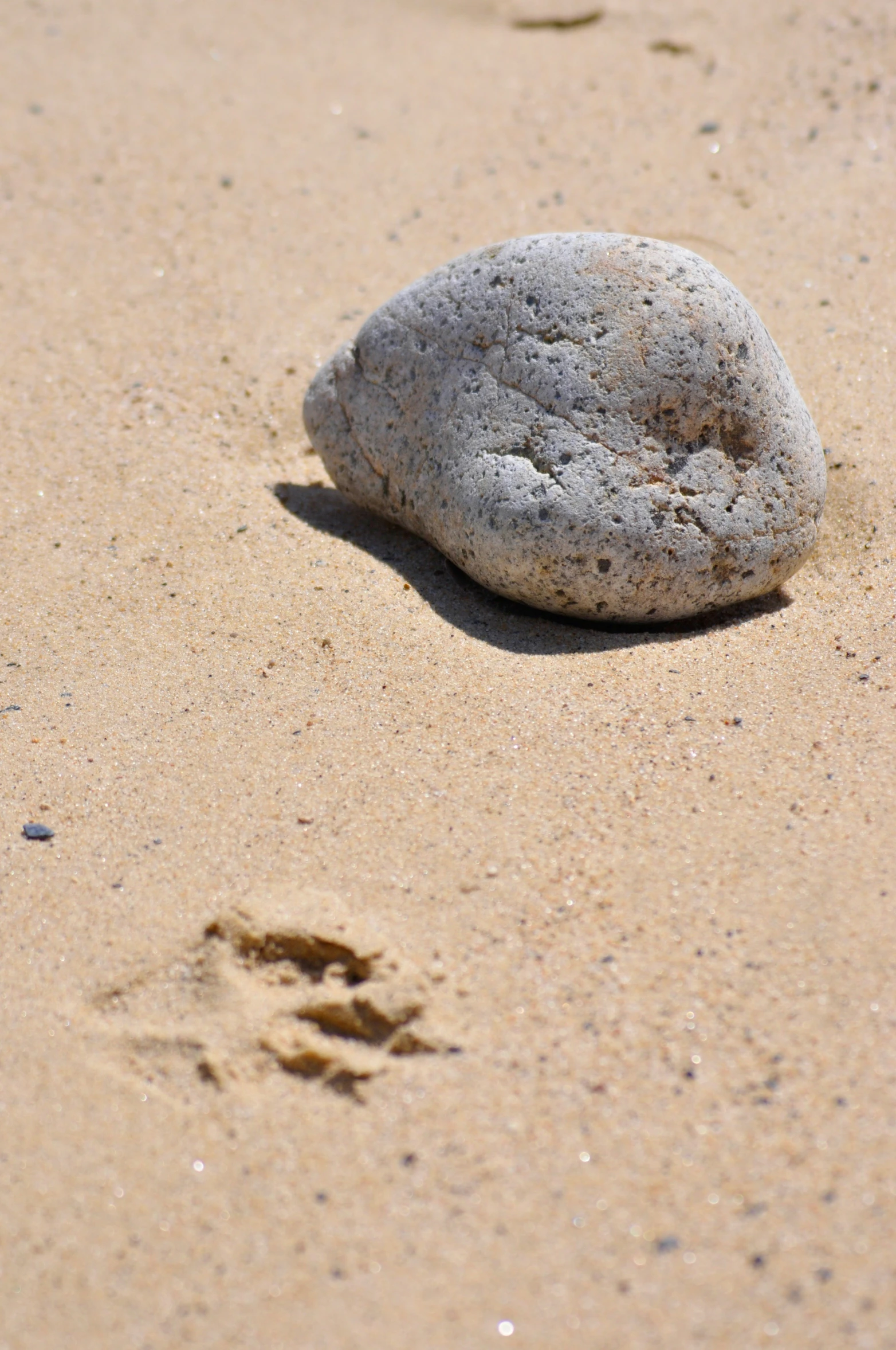 a rock is sitting on the beach by itself