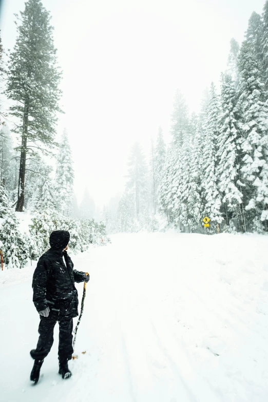 the skier is holding on to their skis as they stand on the snow