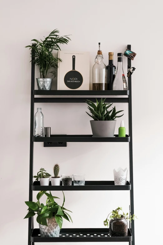 a shelf with some potted plants and liquor bottles
