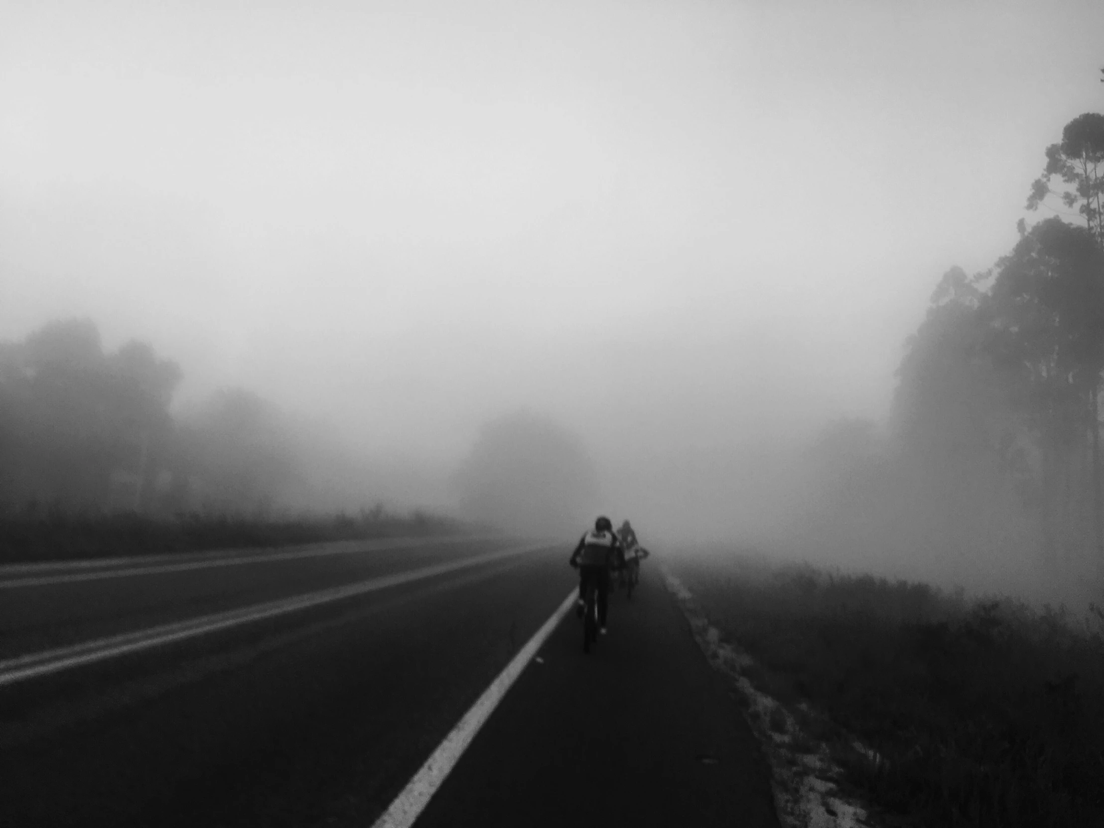 people walking along a road in the fog