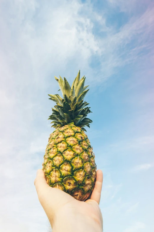 there is a pineapple in the hand against the sky