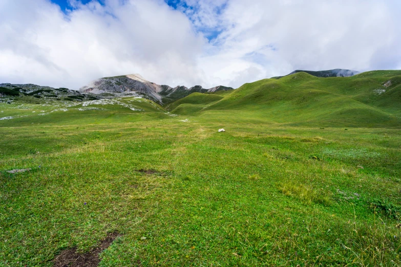 an alpine meadow with the sky above