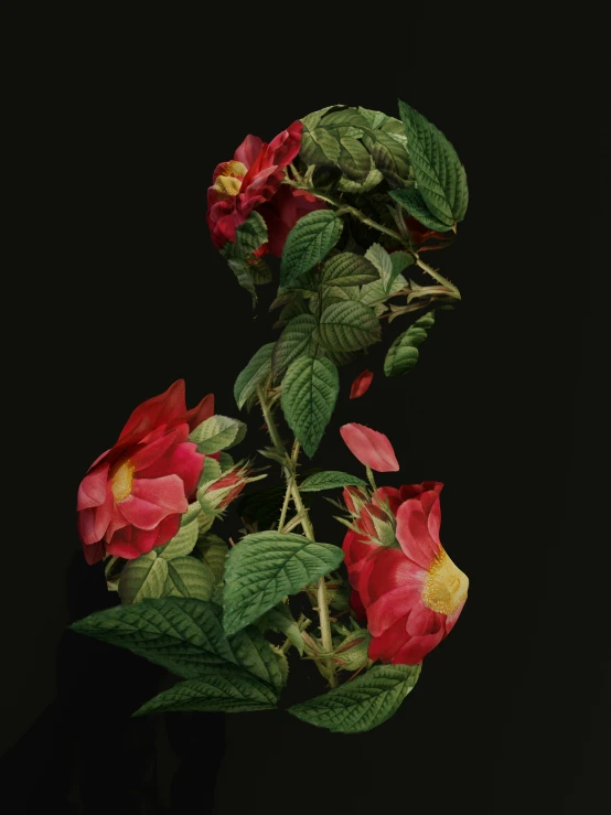 a bouquet of pink flowers that are on a black background