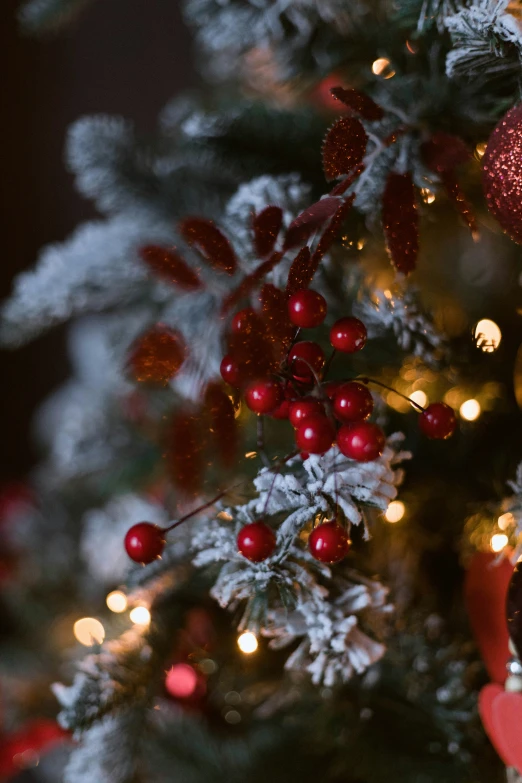 a christmas tree has lights and ornaments all around it