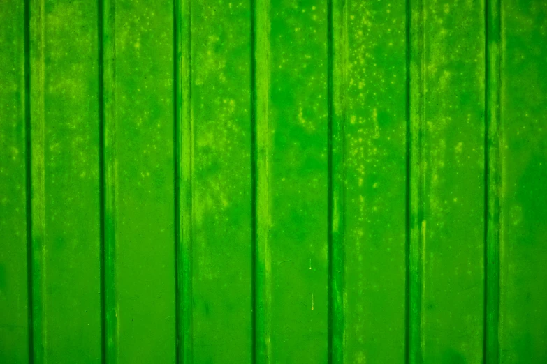 a wooden plank is painted green as the background