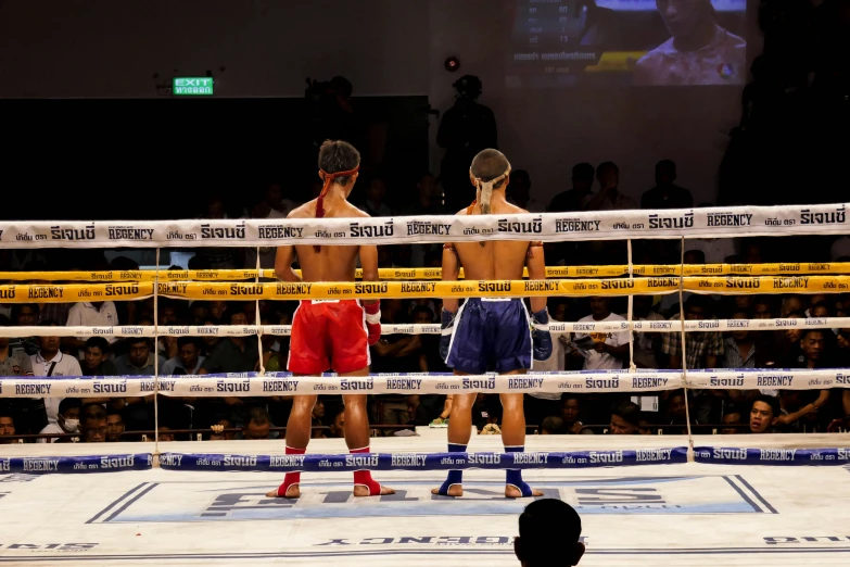 two boxers in shorts standing by the ropes