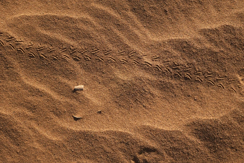 an image of sand and footprints in the sand