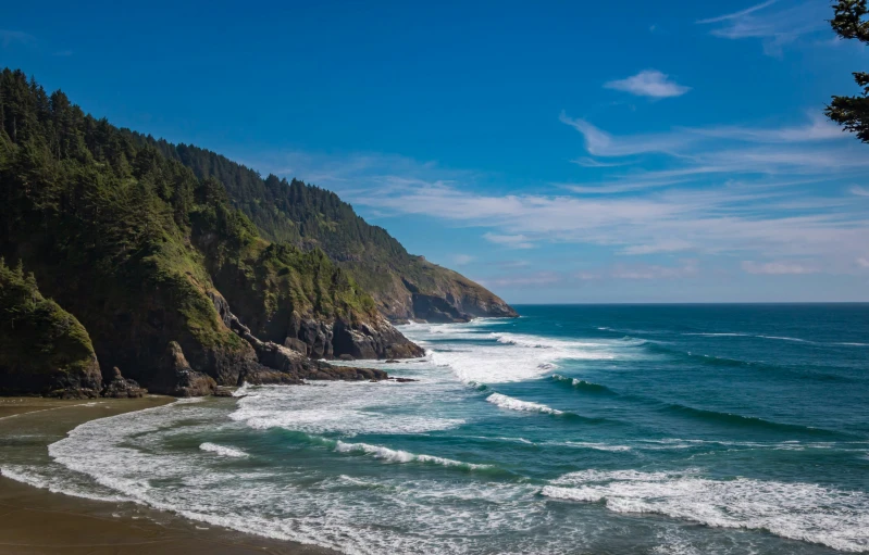 an ocean view with some trees on the shoreline