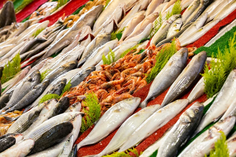 many different types of fish on display in an open air market