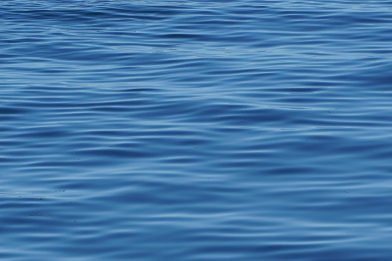 a red boat on a large body of water