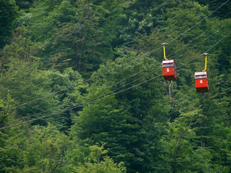 two red and yellow boxes on a wire above trees