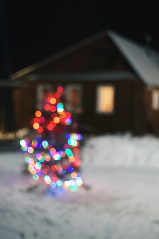 lights decorate a small christmas tree in the snow
