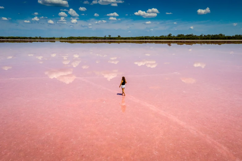 a  stands alone in a pink lake