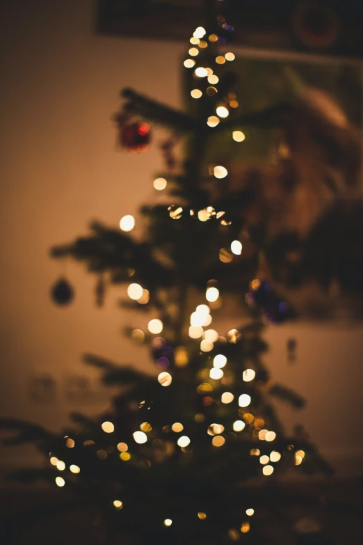 a small christmas tree lit up with lights