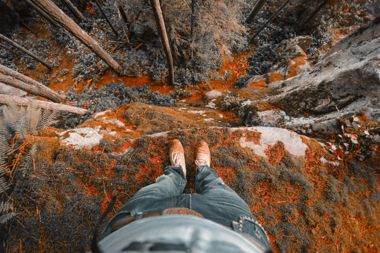 a person standing in front of a red and brown forest