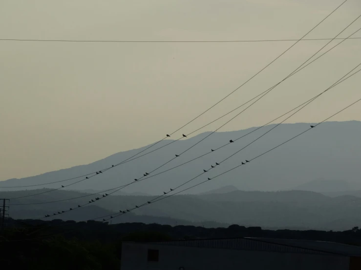 birds are sitting on wires above the mountains