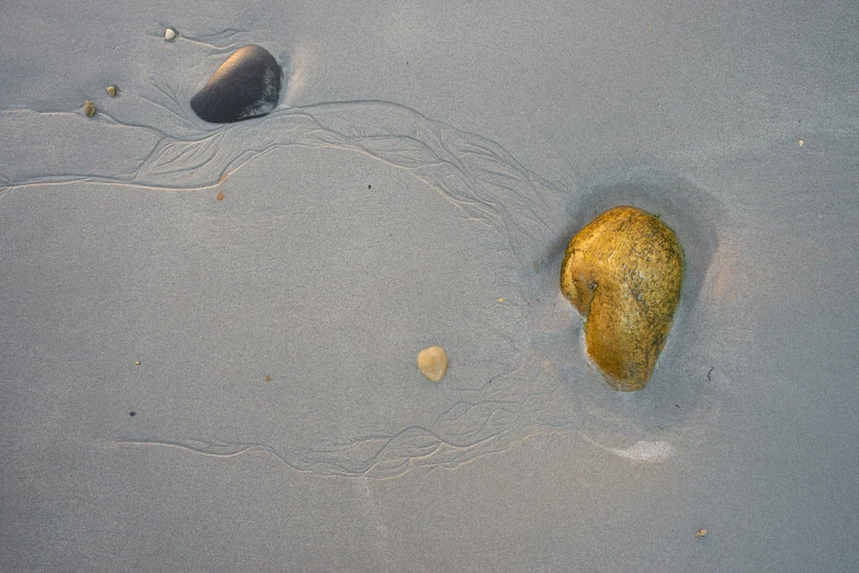 two rocks lying on the sand with water running over them