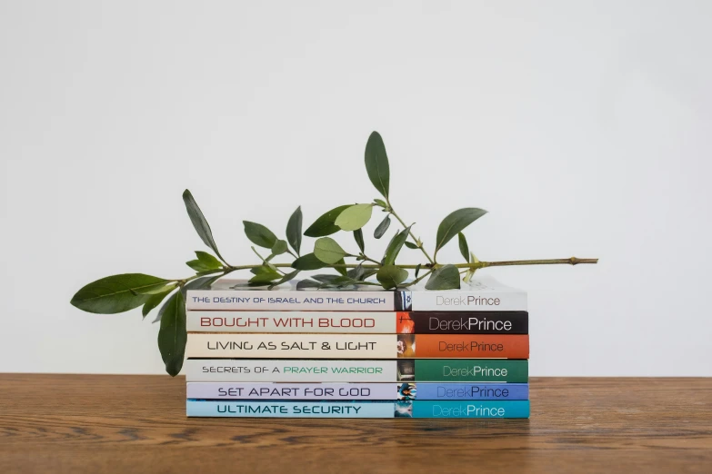 an arrangement of three books are displayed in a vase