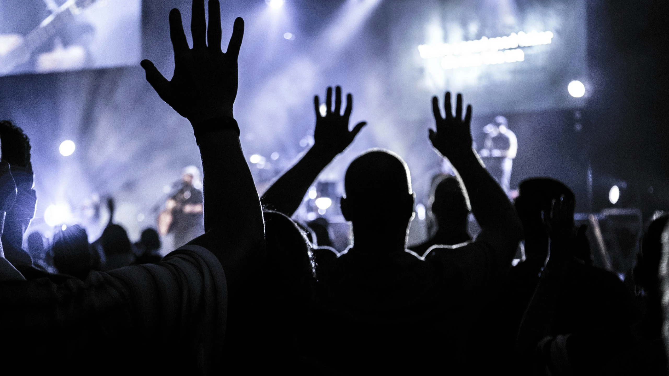 silhouettes of people raising their hands during a concert