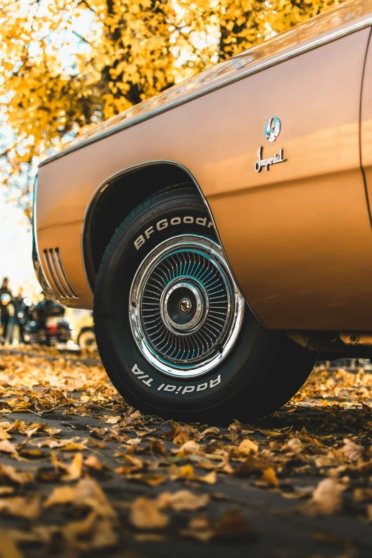 close up s of a classic, shiny, gold colored car