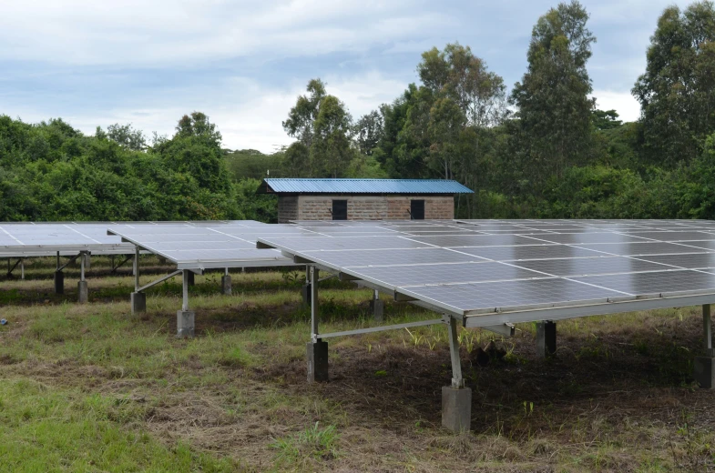 a field filled with solar panels with trees in the background