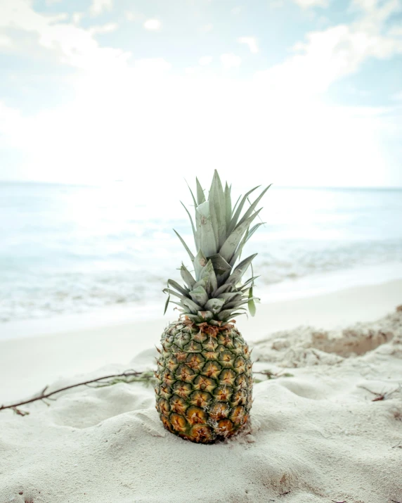 a pineapple sitting on top of a sandy beach