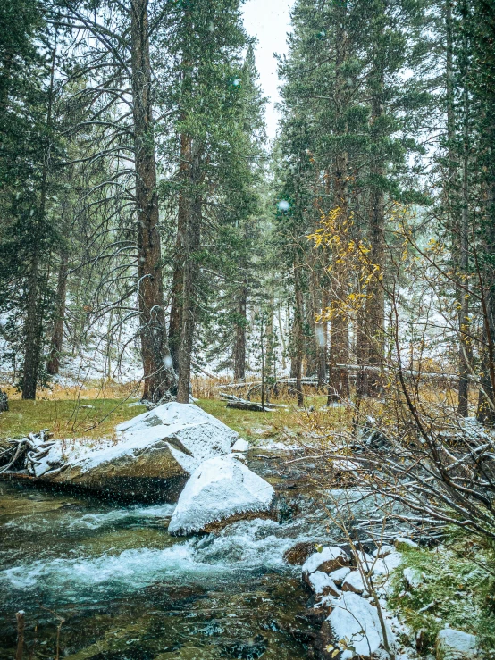 a stream that is in the snow with trees