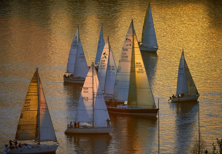 an overhead view of several sailboats in the water