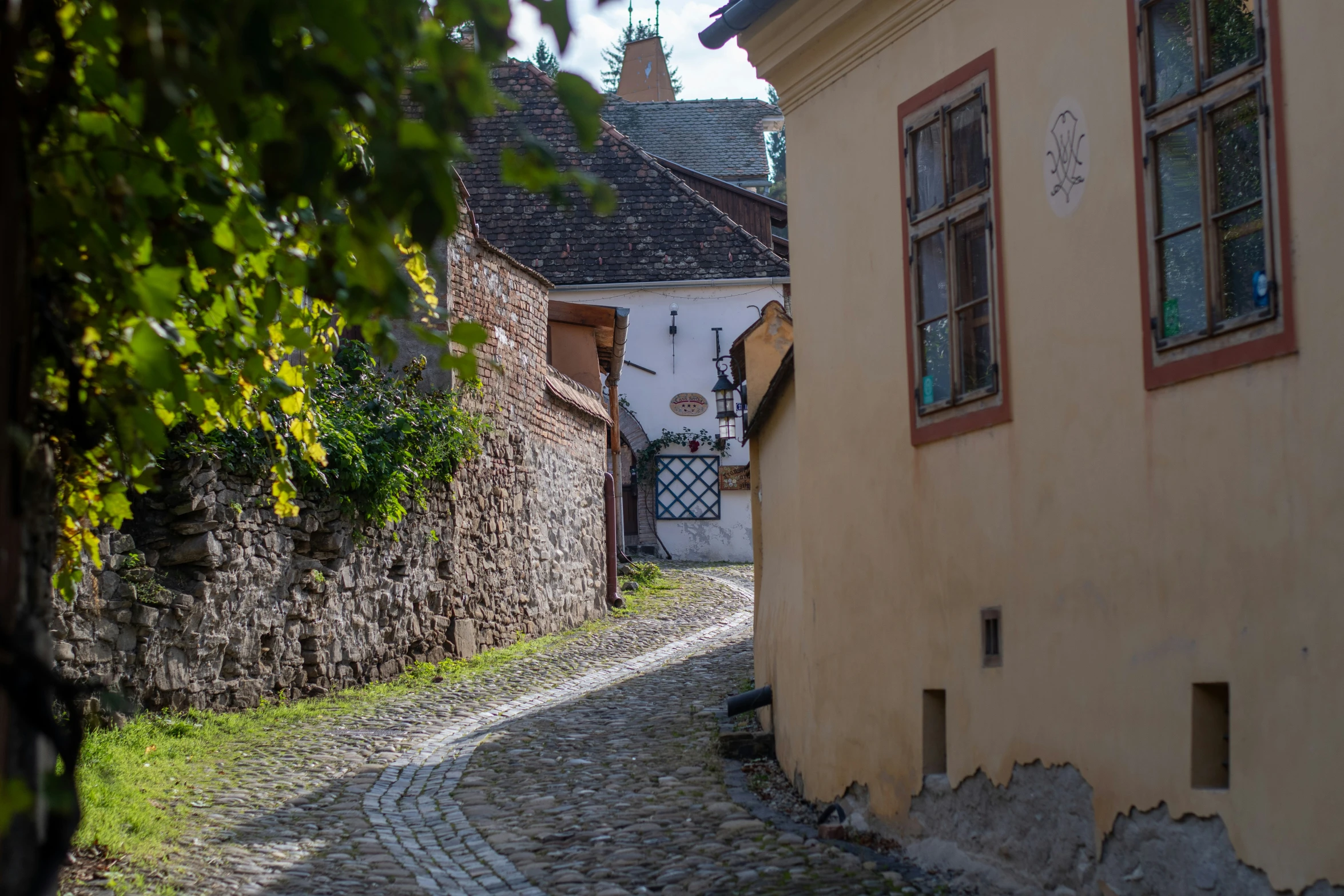 a narrow street with some windows and a cobblestone sidewalk