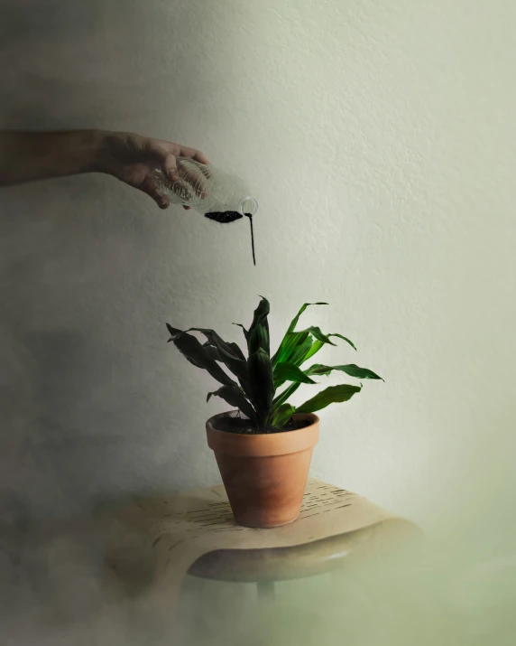 someone's hand reaching for a flower on a small table