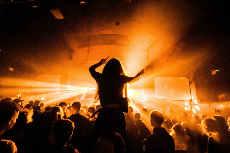 a crowd of people at a concert with a person standing in front of them holding a guitar