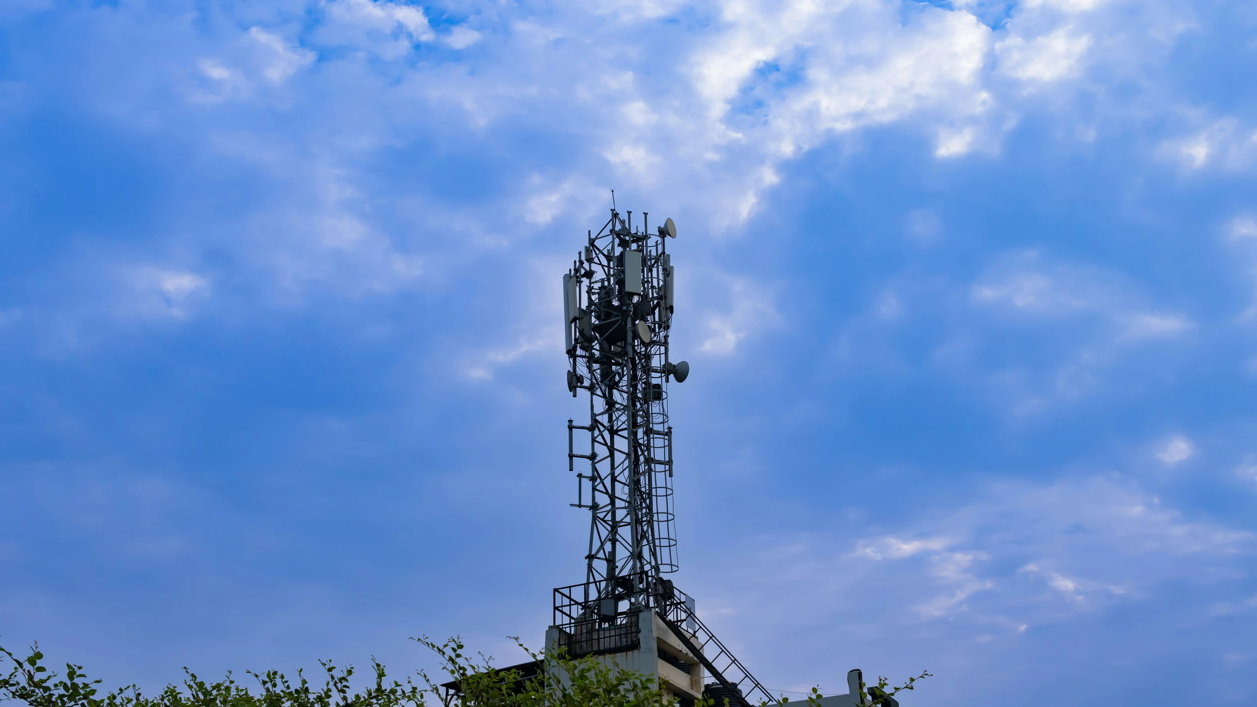 a tower in a tree with a sky background