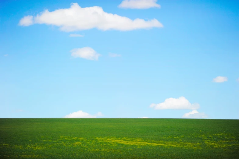 a green grassy field under blue sky with clouds