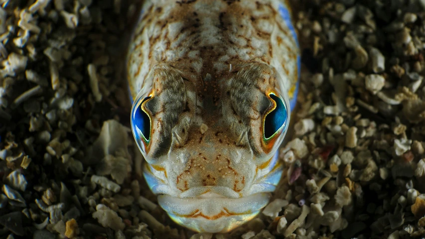 an underwater picture taken looking out from underneath