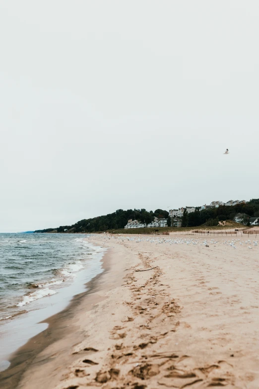 the footprints of people who walk along a sandy beach