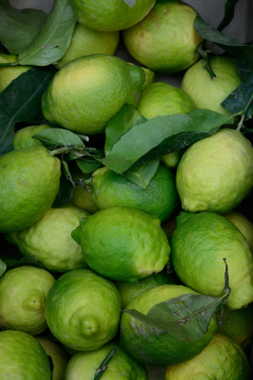 a closeup of a pile of limes with leaves