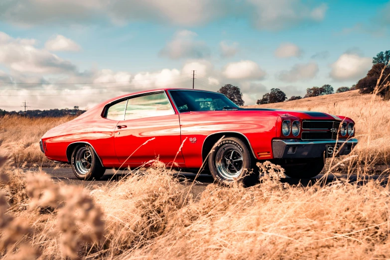 a red car sits in the grass