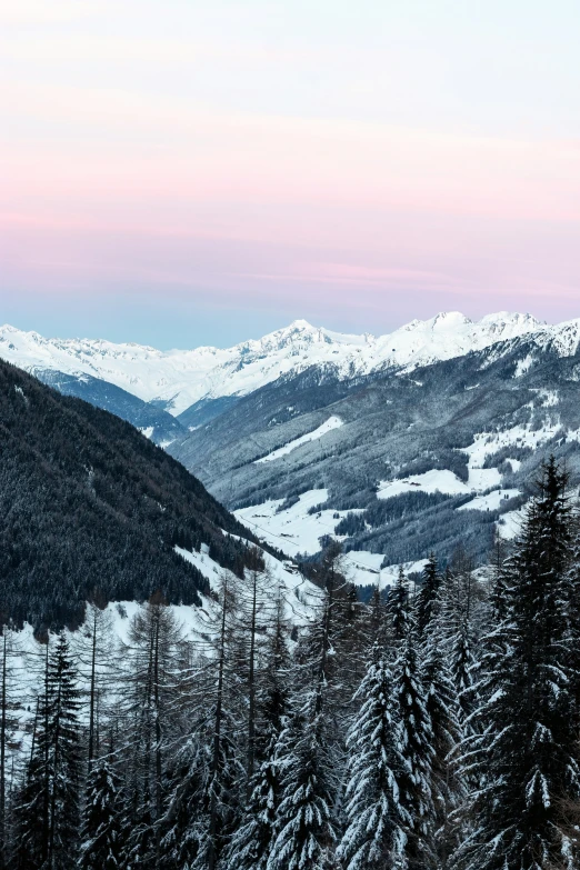 a snowy landscape with mountains in the background