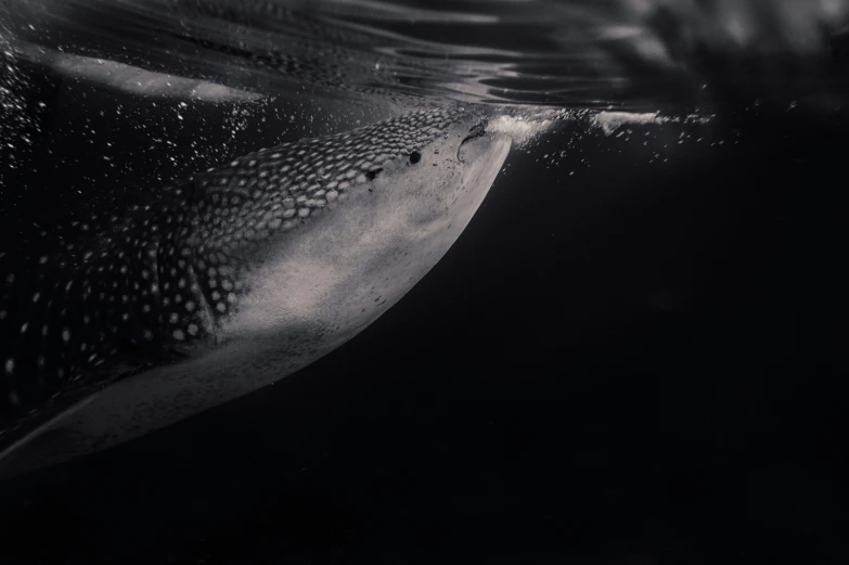 the surface of a very close up po with water