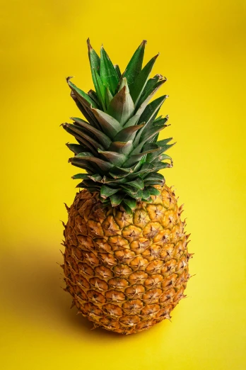 a pineapple sitting against a yellow background