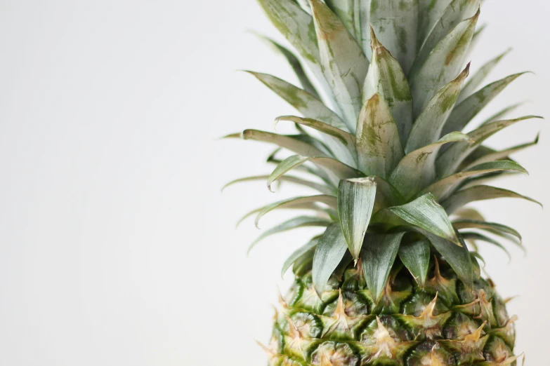 a pineapple close up on white background